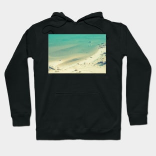 Dog running on the beach Hoodie